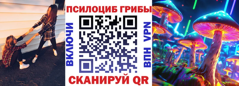 ссылка на мегу   Куйбышев  Псилоцибиновые грибы прущие грибы 